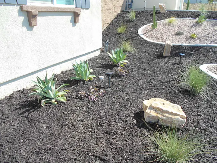 Agave Mulch Planting Bed Side Yard Menifee Ca