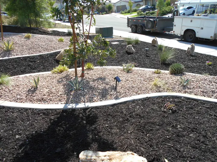 Curved Gravel Beds Front Yard Tree Menifee Ca