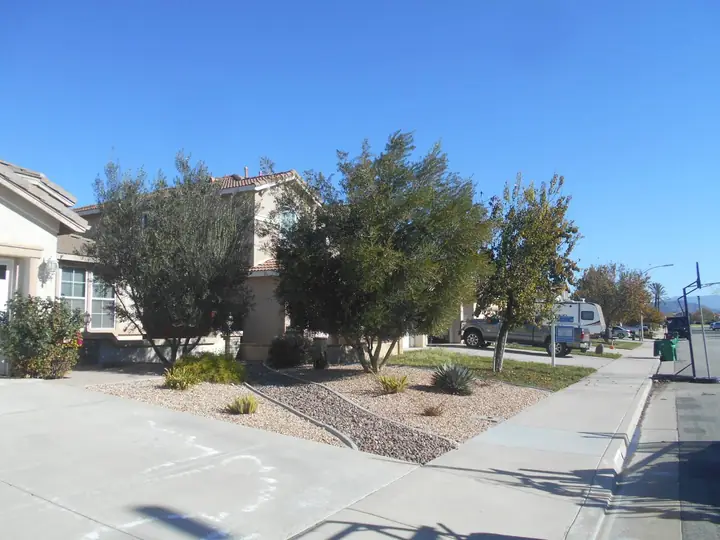 Drought Tolerant Front Yard Menifee Ca