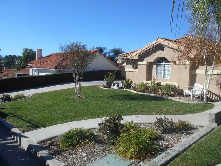 Front Lawn Curved Bed Palm Trees Menifee Ca
