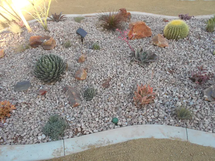 Gravel Bed Succulents Concrete Curb Menifee Ca