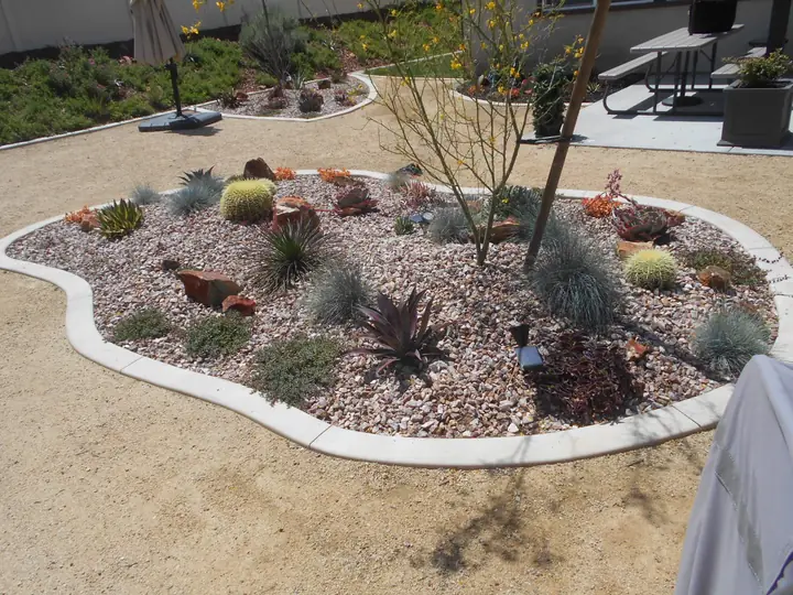 Gravel Island Bed Cactus Succulents Menifee Ca