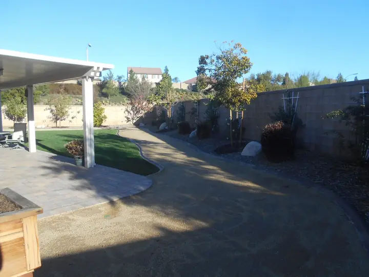 Hillside Backyard Planting Menifee Ca