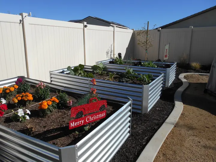 Raised Planter Beds Vegetable Garden Menifee Ca